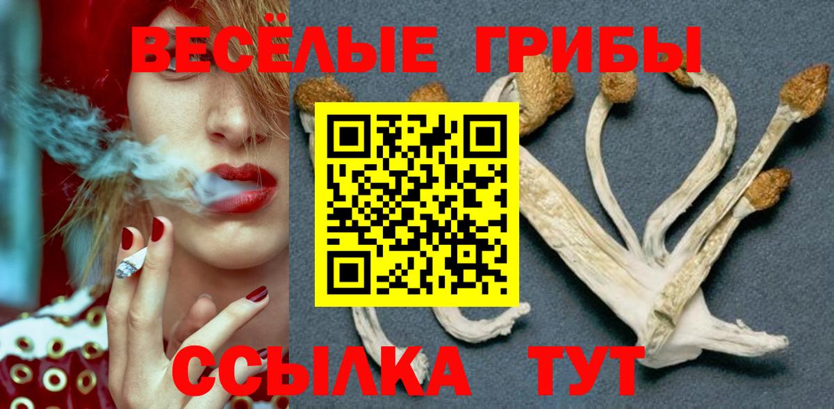 Черногорск  Псилоцибиновые грибы MAGIC MUSHROOMS  Вход с VPN 