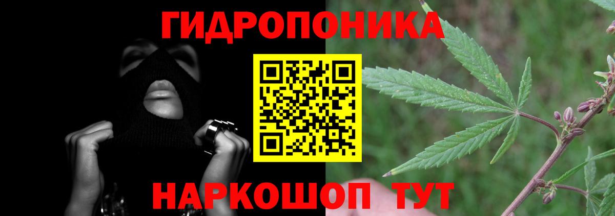 Конопля Amnesia Черногорск