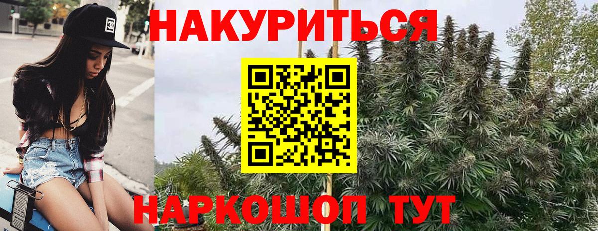 Каннабис план  Вход с VPN  МАРИХУАНА ГИДРОПОН  Бошки Шишки ГИДРОПОН  Черногорск 